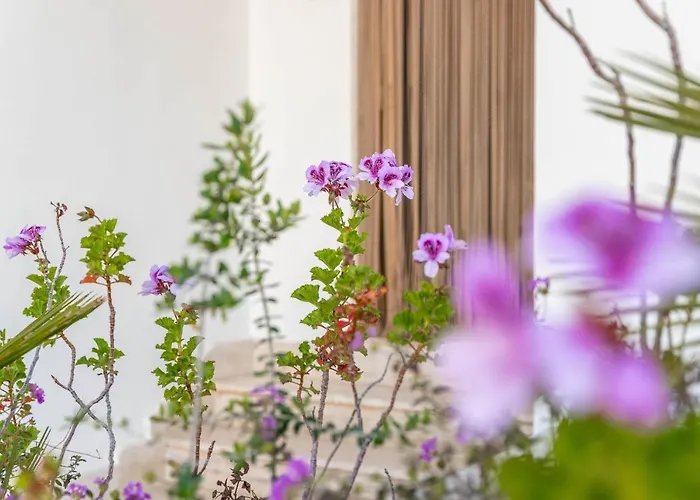 Bed Biancaneve Miniappartamento Apartment Villanova di Ostuni
