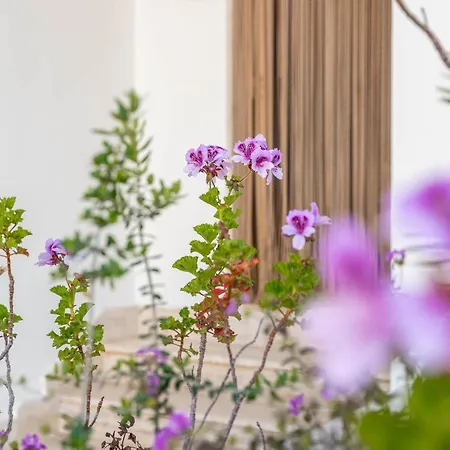 Bed Biancaneve Miniappartamento Apartment Villanova di Ostuni